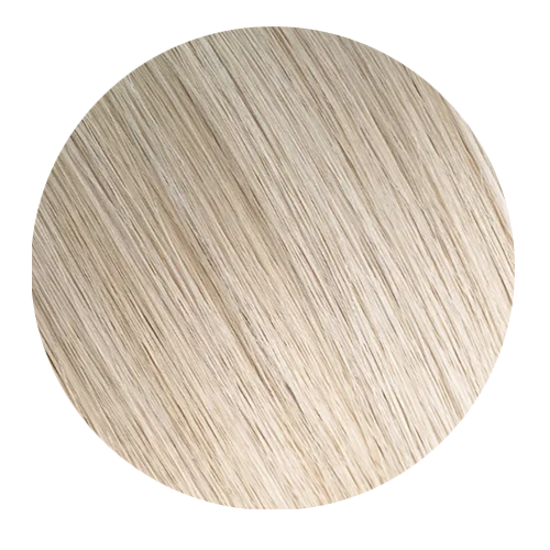 Light Ash Blonde #22 Clip In Hair Extensions