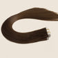 Chestnut Brown #6 Tape In Hair Extensions